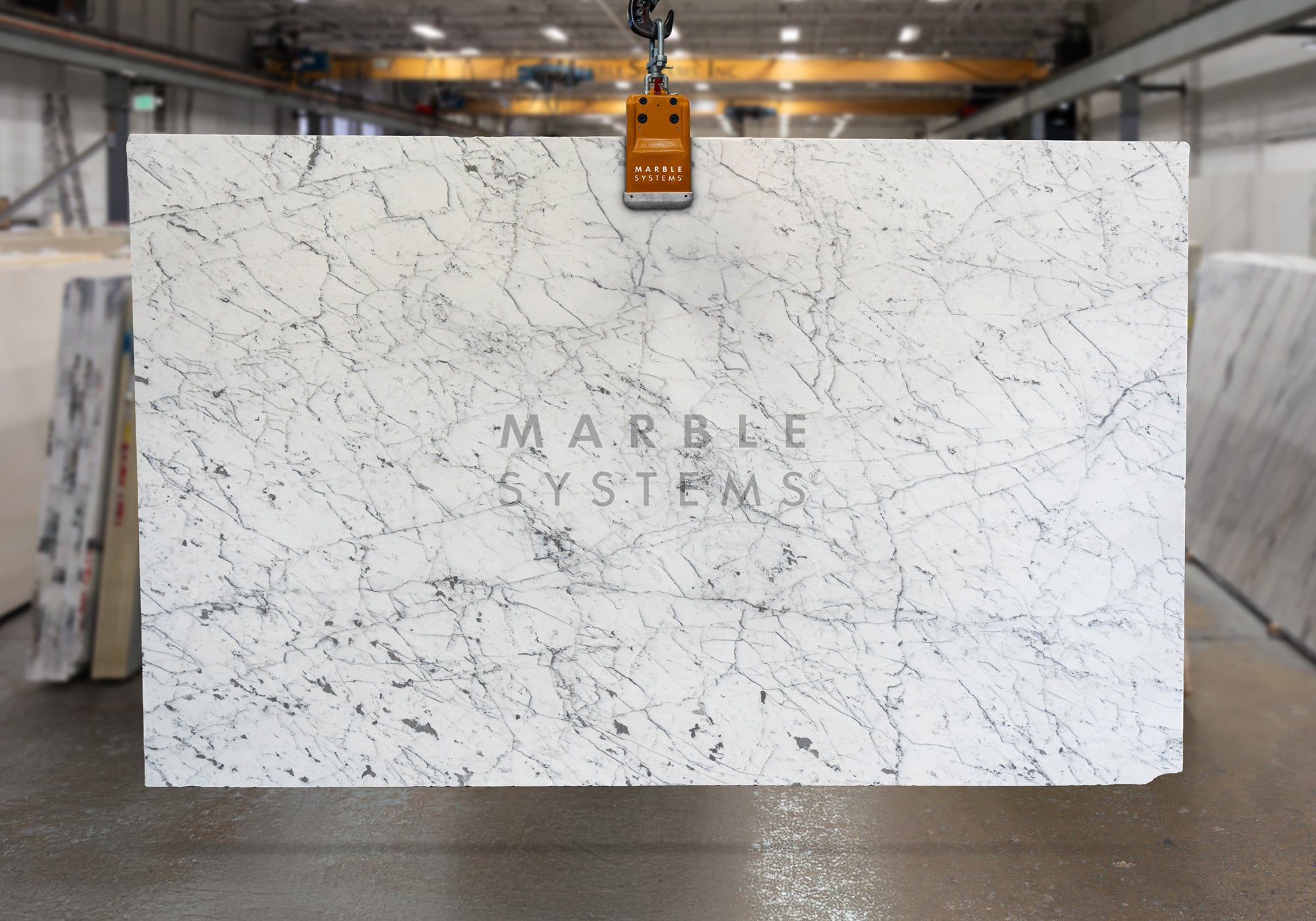 Carrara Gioia Venatino Multi Finish Marble Slab - Premium product showcase