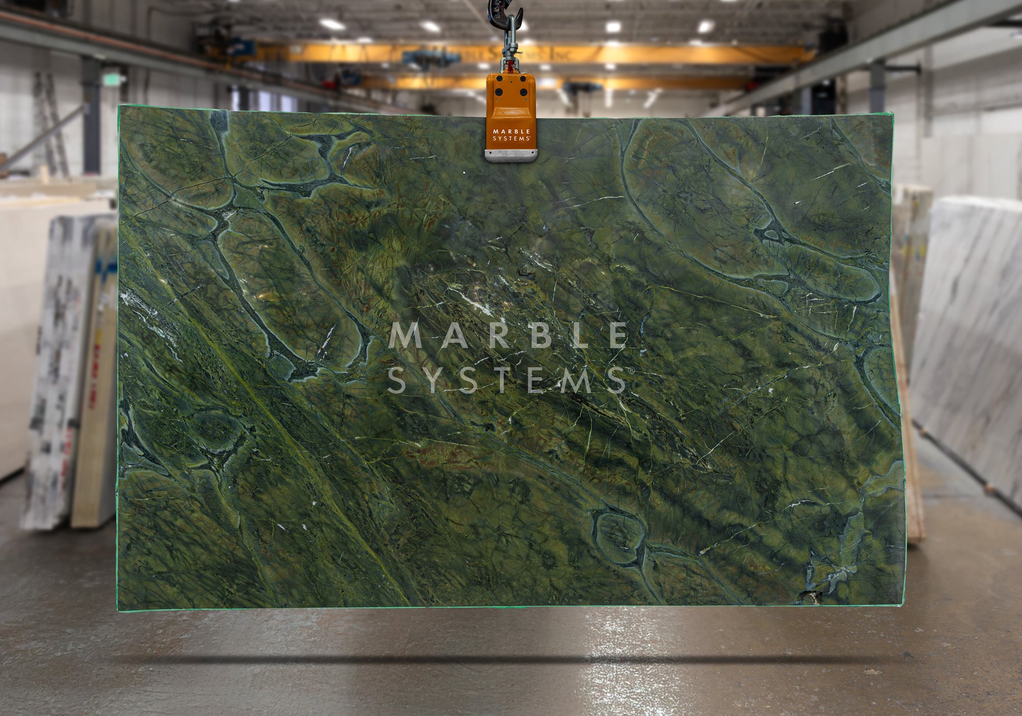 Vitoria Regia Polished Granite - Premium product showcase